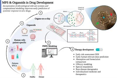 Editorial: Insights in drug metabolism and transport: 2021